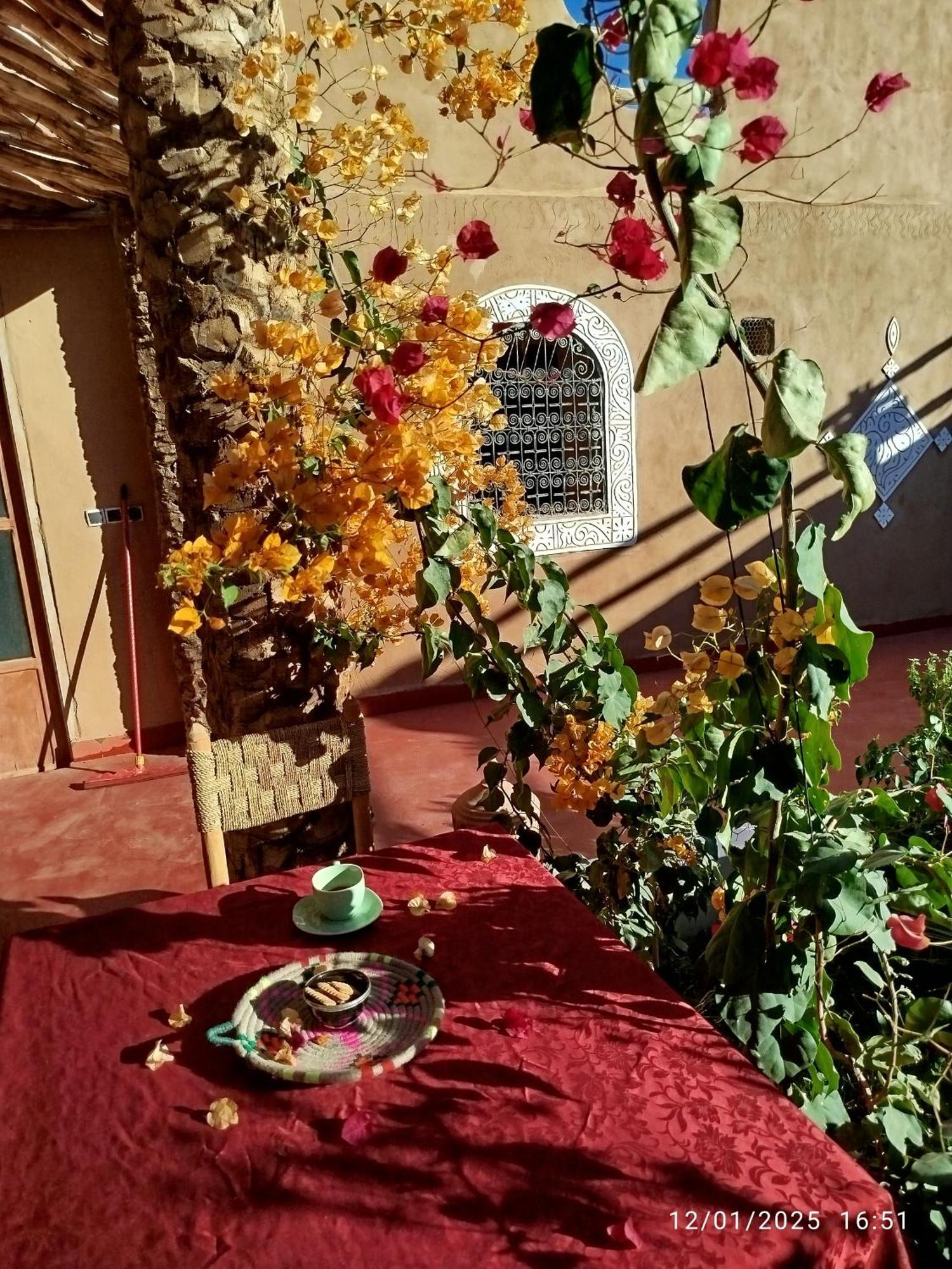 マハミド Dar Nomads Bed & Breakfast エクステリア 写真